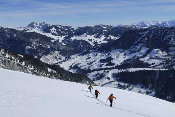 Galeria: Freeride i Ski touring by Diamir