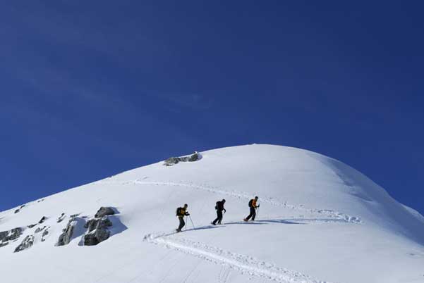 Galeria: Freeride i Ski touring by Diamir