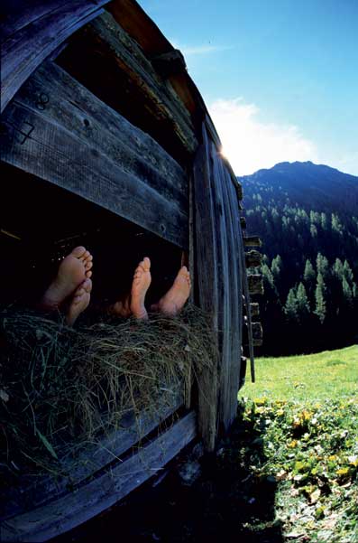 Galeria: Lato w dolinie Oetztal