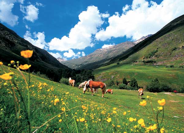 Galeria: Lato w dolinie Oetztal