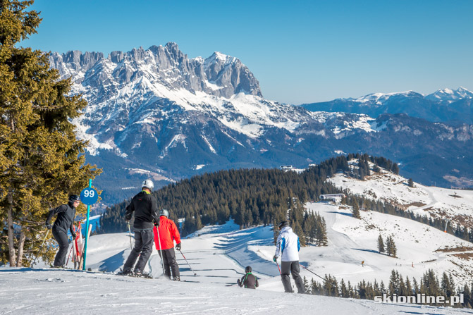 Galeria: SkiWelt - czyli tam i z powrotem