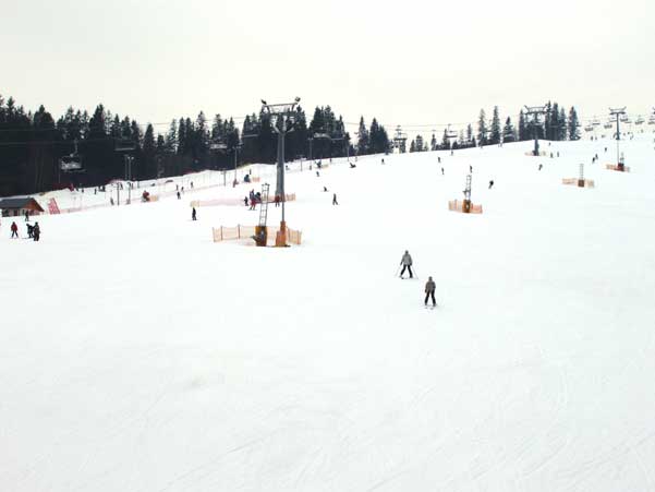 Galeria: Wiosna na Kotelnicy