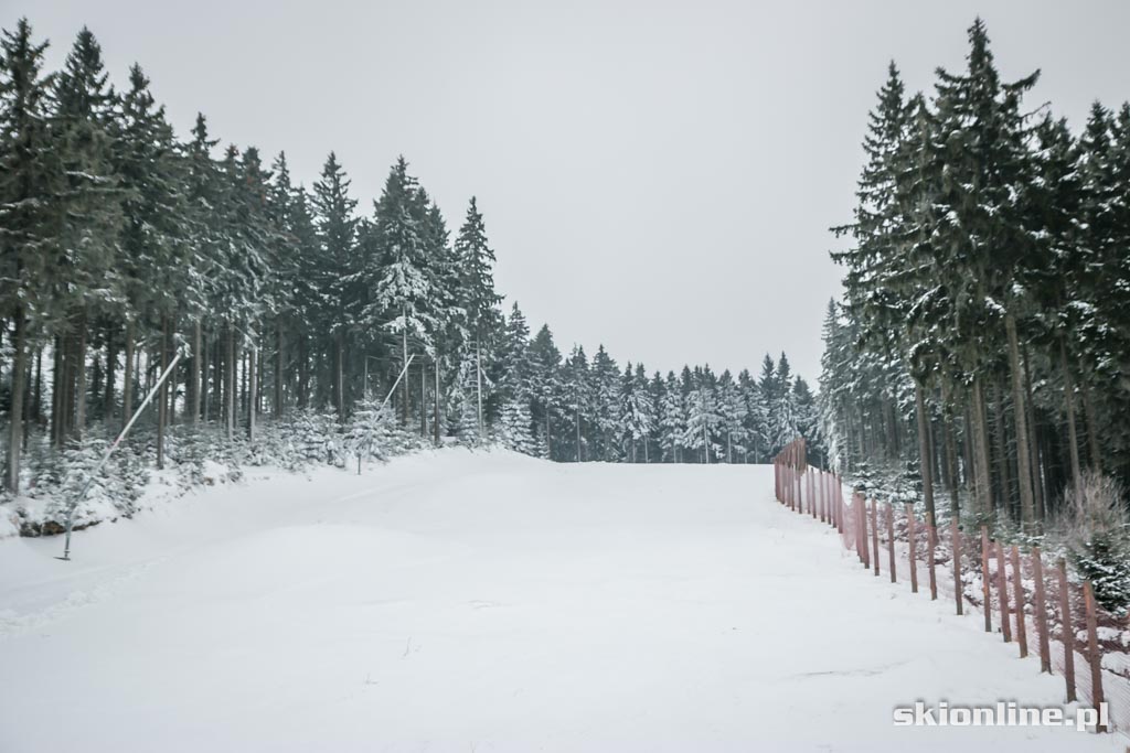 Galeria: Czarna Góra warunki narciarskie 8. stycznia 2015