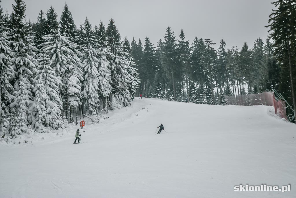 Galeria: Czarna Góra warunki narciarskie 8. stycznia 2015