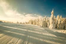 Czarna Góra warunki narciarskie 1.02.2015