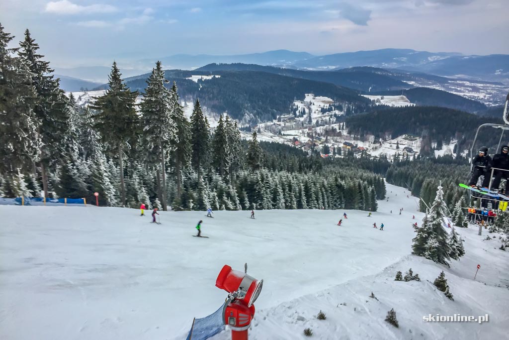 Galeria: Czarna Góra na biało - warunki 11.02.2017