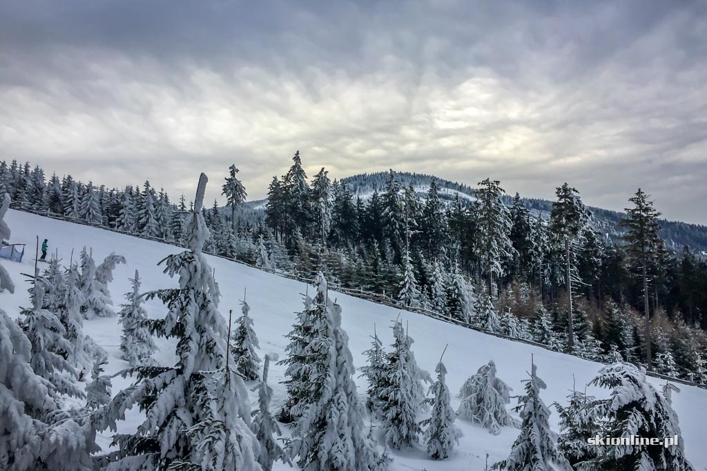 Galeria: Czarna Góra na biało - warunki 11.02.2017