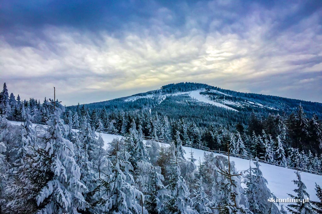 Galeria: Czarna Góra na biało - warunki 11.02.2017