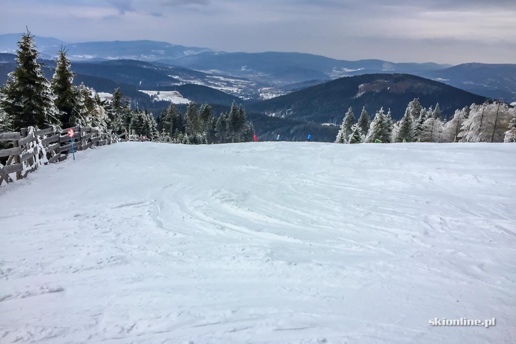 Galeria: Czarna Góra na biało - warunki 11.02.2017