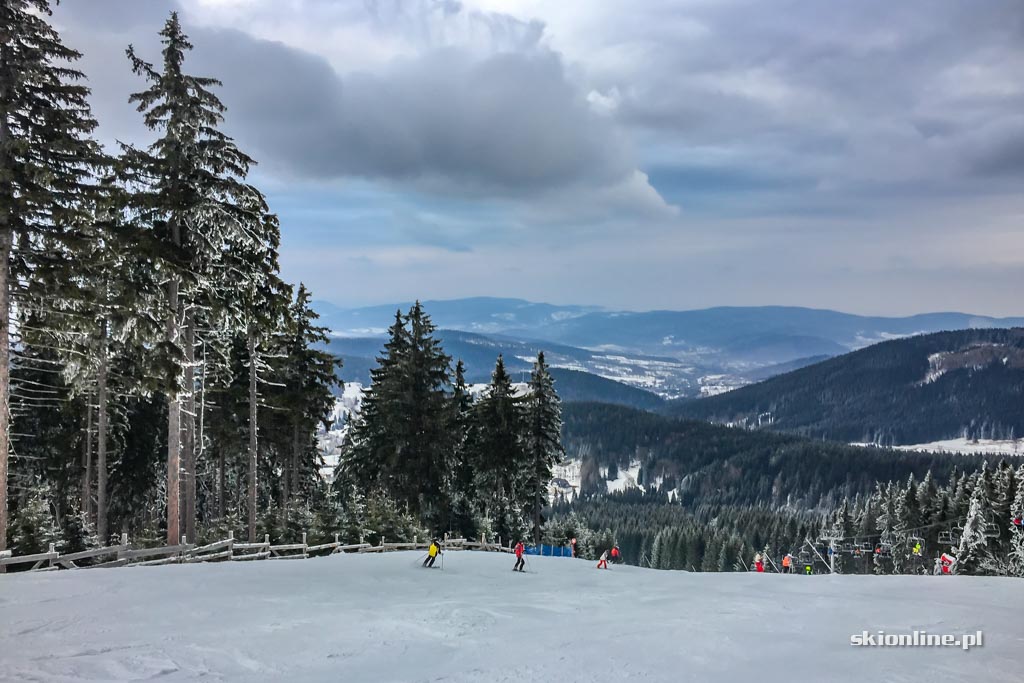 Galeria: Czarna Góra na biało - warunki 11.02.2017