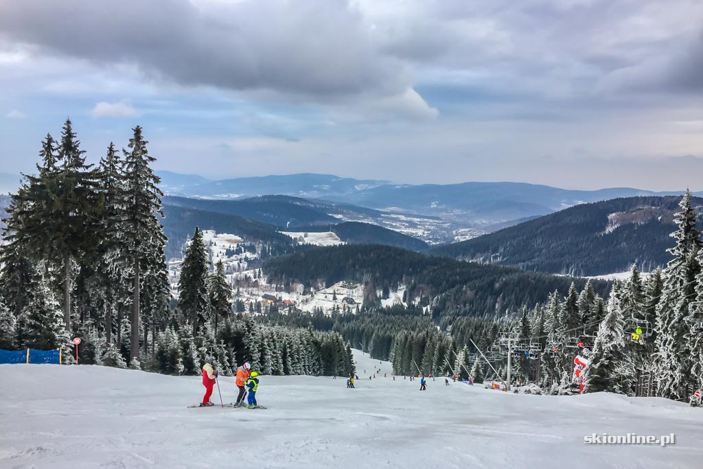 Galeria: Czarna Góra na biało - warunki 11.02.2017
