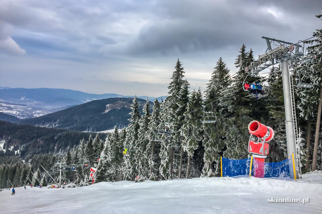 Galeria: Czarna Góra na biało - warunki 11.02.2017
