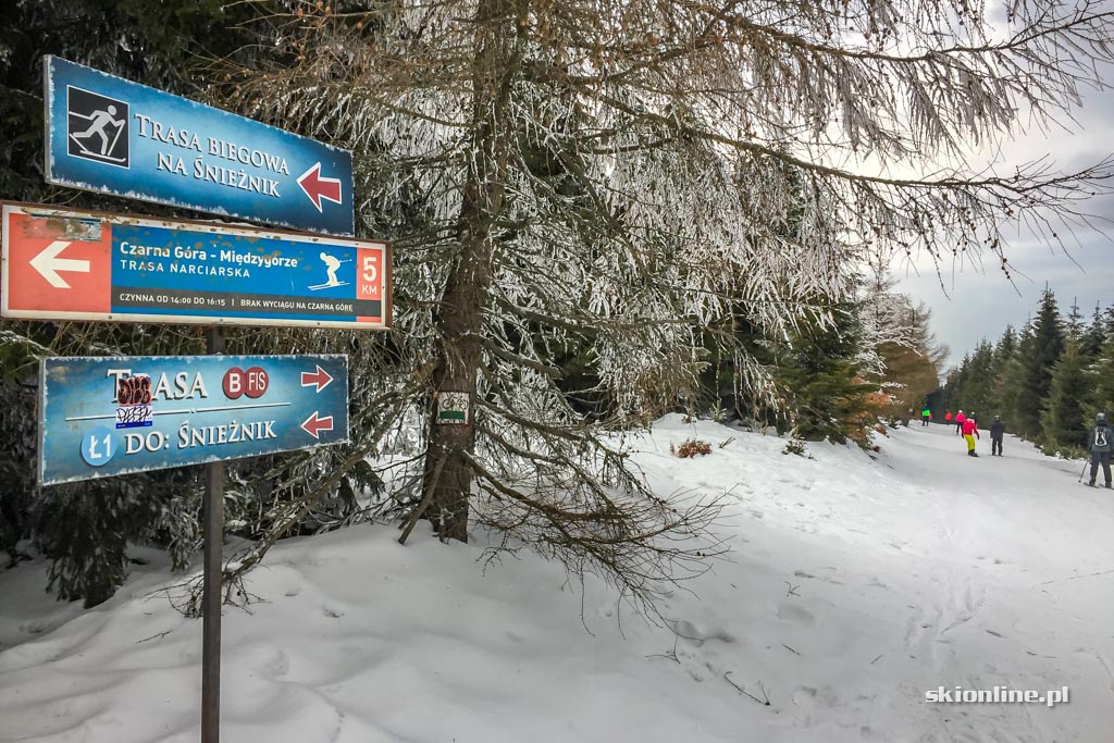 Galeria: Czarna Góra na biało - warunki 11.02.2017