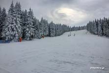 Czarna Góra na biało - warunki 11.02.2017