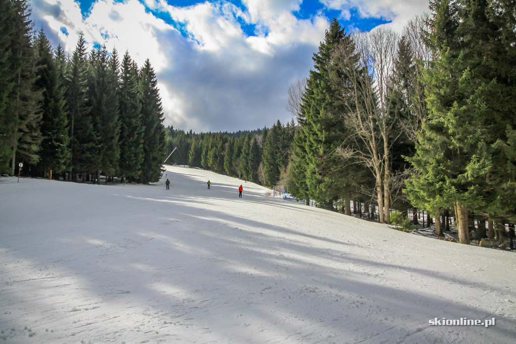 Galeria: Czarna Góra początkiem marca 2019