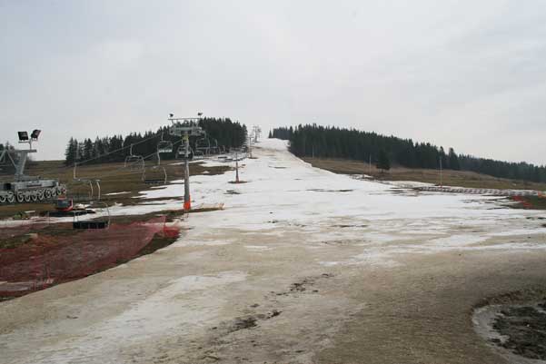 Galeria: Czarna Góra - Koziniec