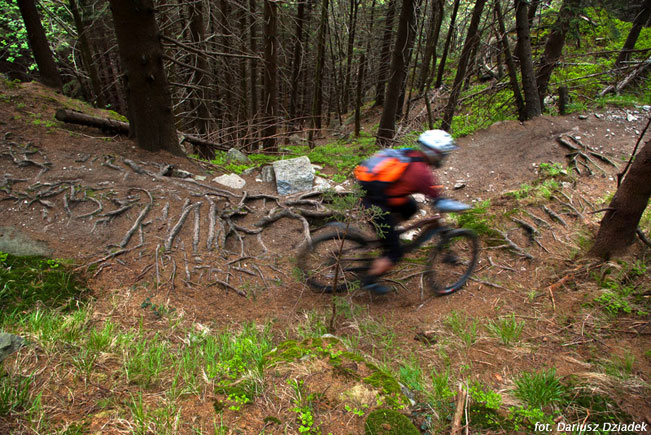 Galeria: Enduro Trophy Czarna Góra 2011