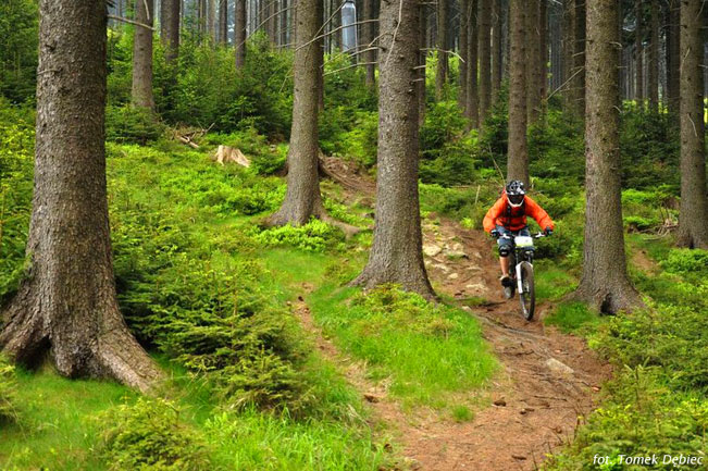 Galeria: Enduro Trophy Czarna Góra 2011