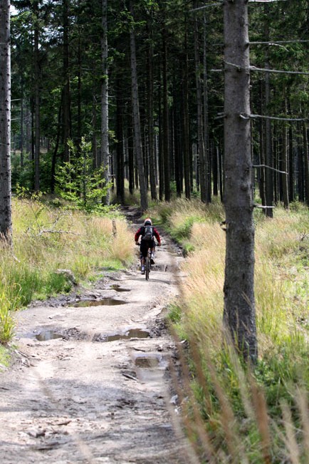 Galeria: Enduro Trophy Brenna 2010 OS 2