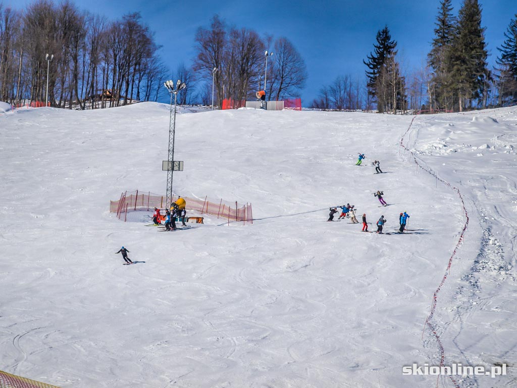 Galeria: Harenda Zakopane - warunki narciarskie 13.01.2015