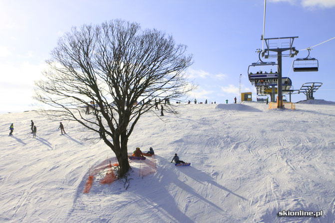 Galeria: Złoty Groń szwajcarską szóstką na narty