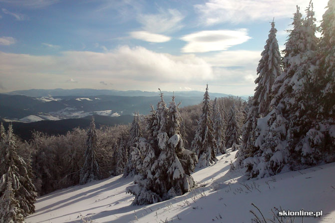 Galeria: Jaworzyna Krynicka - styczeń 2012