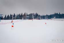 Lubomierz Ski - styczeń 2016