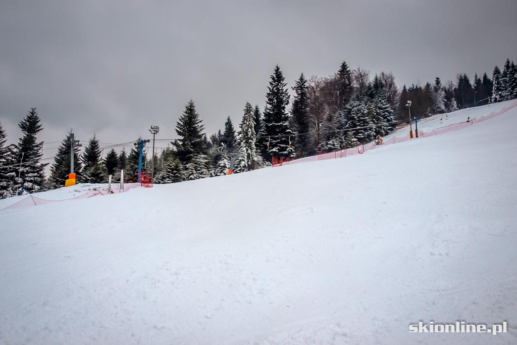 Galeria: Lubomierz Ski - styczeń 2016