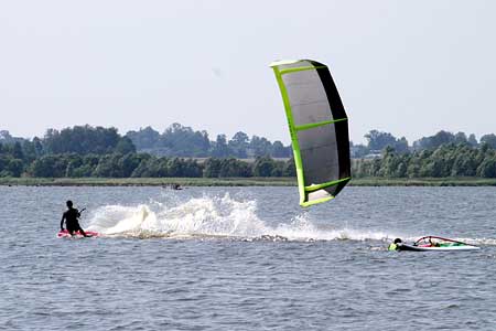 Galeria: Pszczynka