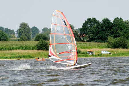 Galeria: Pszczynka