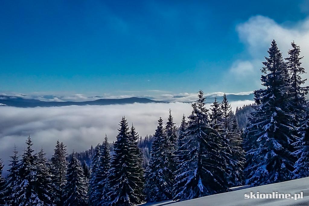 Galeria: Skiturowa wycieczka na Rycerzową cz. 1
