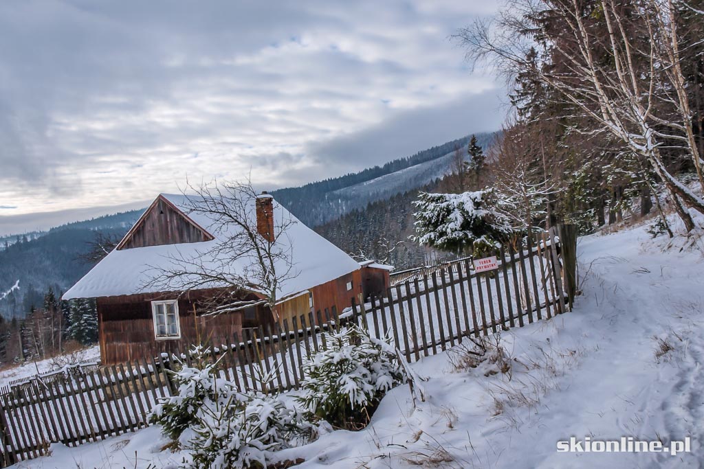 Galeria: Skiturowa wycieczka na Rycerzową cz. 1