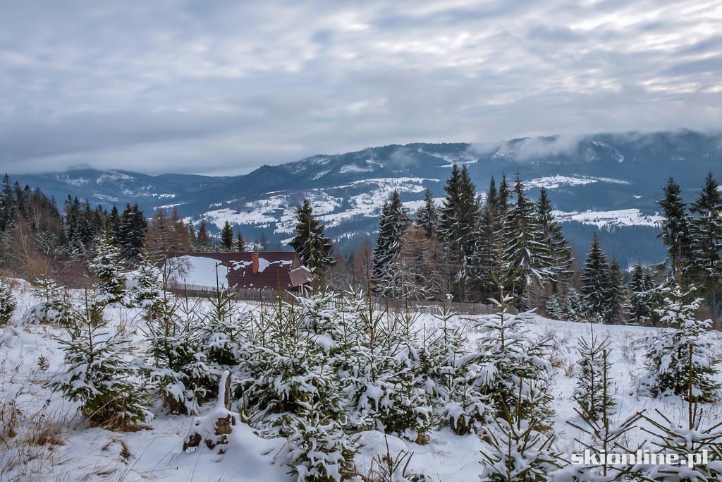 Galeria: Skiturowa wycieczka na Rycerzową cz. 1