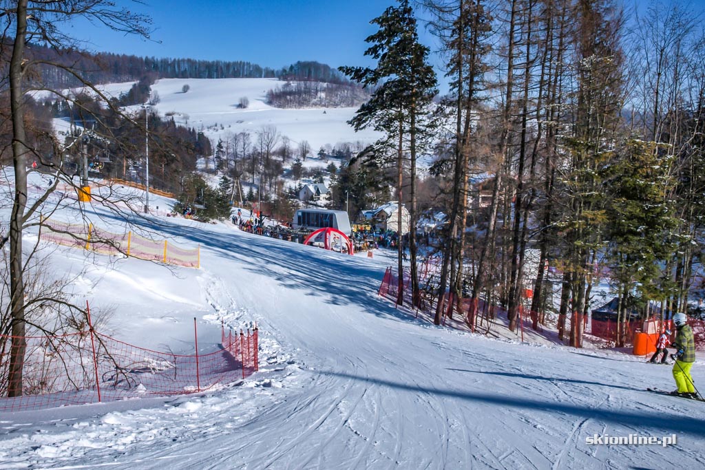 Galeria: Słotwiny w Krynicy - warunki 01.2017