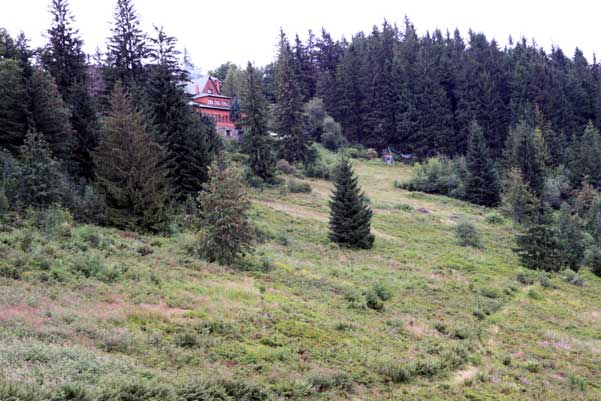 Galeria: ON Stożek latem