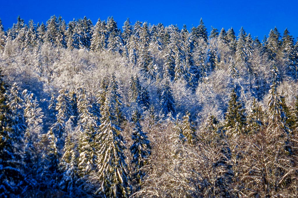 Galeria: Ośrodek narciarski Stożek w Wiśle - 4.12.2016