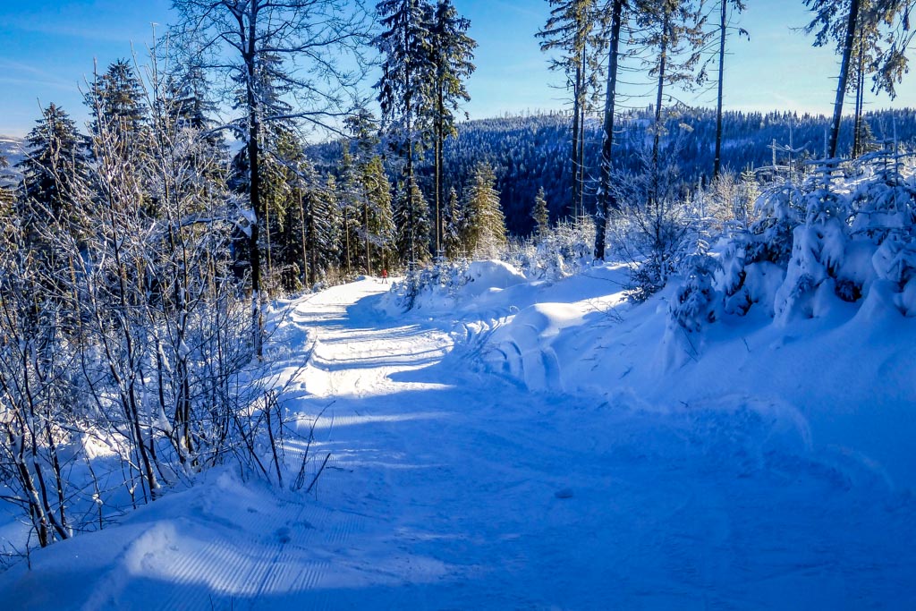 Galeria: Ośrodek narciarski Stożek w Wiśle - 4.12.2016