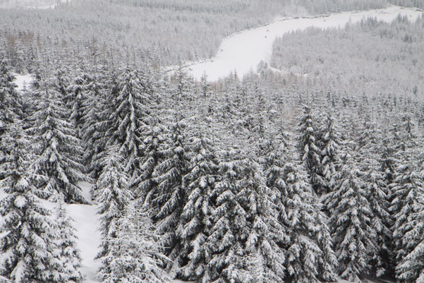 Galeria: Świeradów Zdrój - nowa gondola