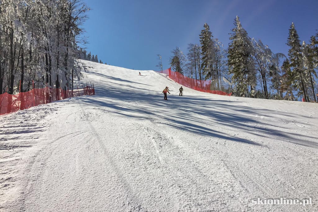Galeria: Szczyrk, Skrzyczne tras FIS - 17 marca 2016