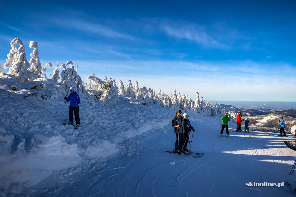 Galeria: Szczyrk Mountain Resort - trasa nr 3b Szczyrkowska