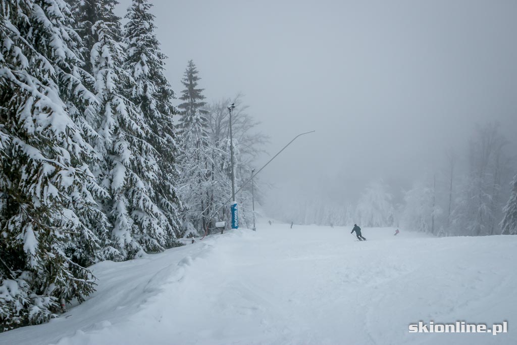Galeria: Szczyrk SON Golgota warunki narciarskie 1.01.2015