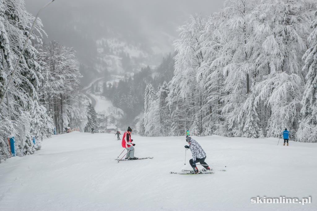 Galeria: Szczyrk SON Golgota warunki narciarskie 1.01.2015