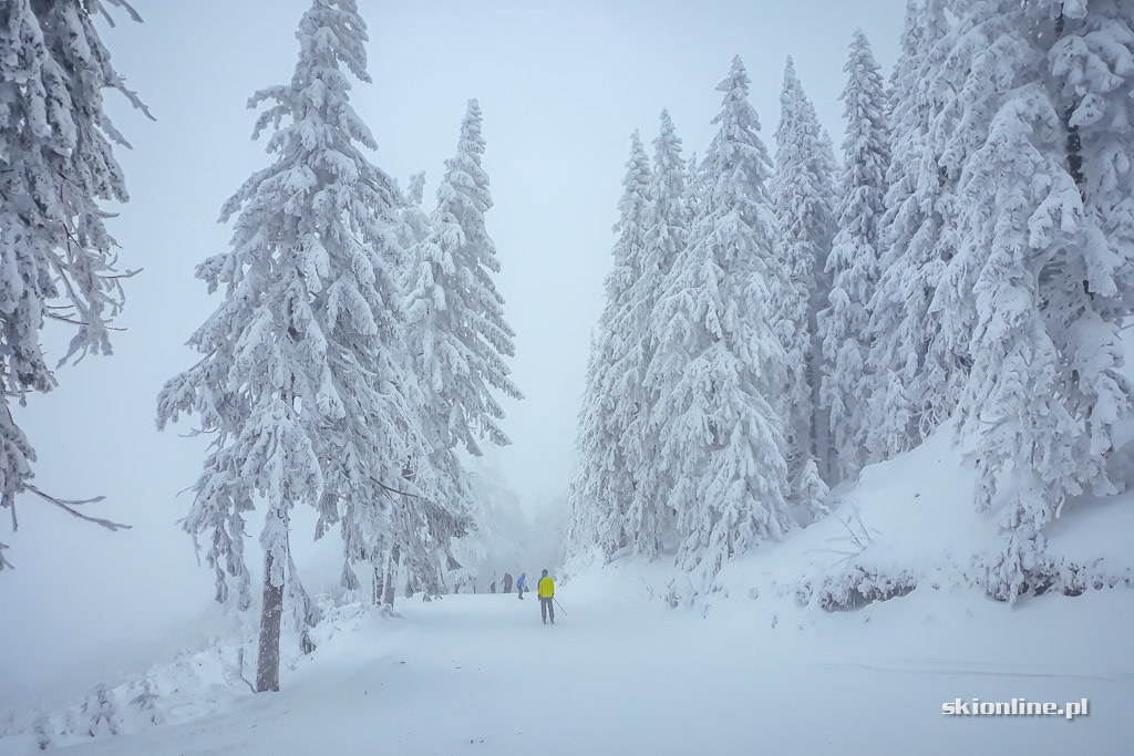 Galeria: Szczyrk Mountain Resort - sezon 18/19 otwarty