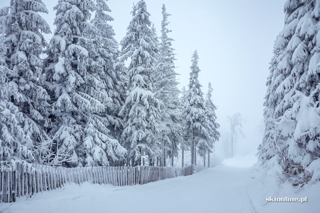 Galeria: Szczyrk Mountain Resort - sezon 18/19 otwarty