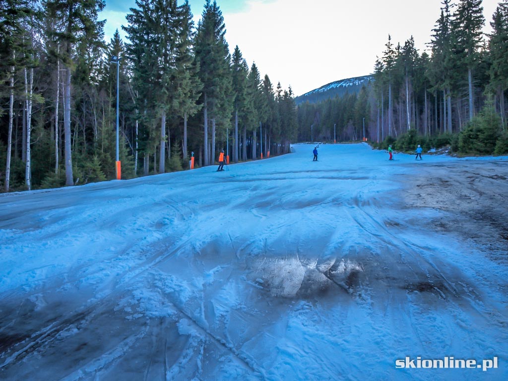 Galeria: Ski Arena Szrenica - koniec stycznia 2016