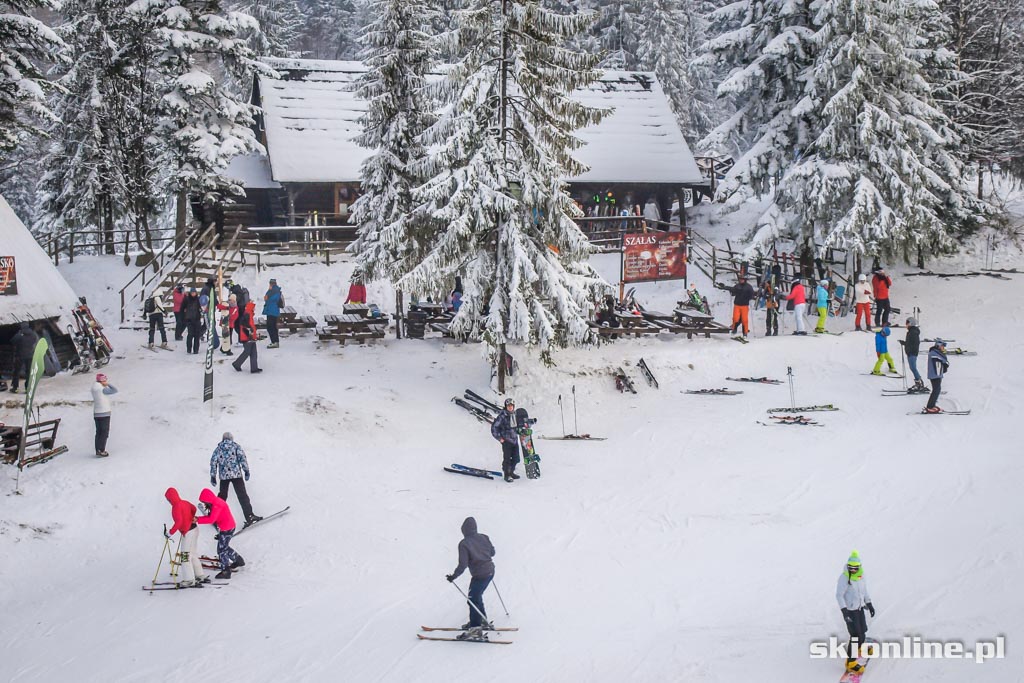 Galeria: Dwie Doliny warunki narciarskie 2.01.2015