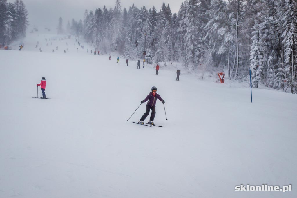 Galeria: Dwie Doliny warunki narciarskie 2.01.2015