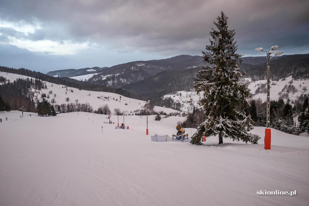 Galeria: Dwie Doliny Wierchomla - Muszyna - styczeń 2017