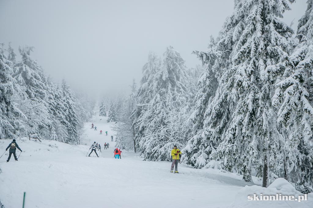 Galeria: Zieleniec warunki narciarskie 8. stycznia 2015