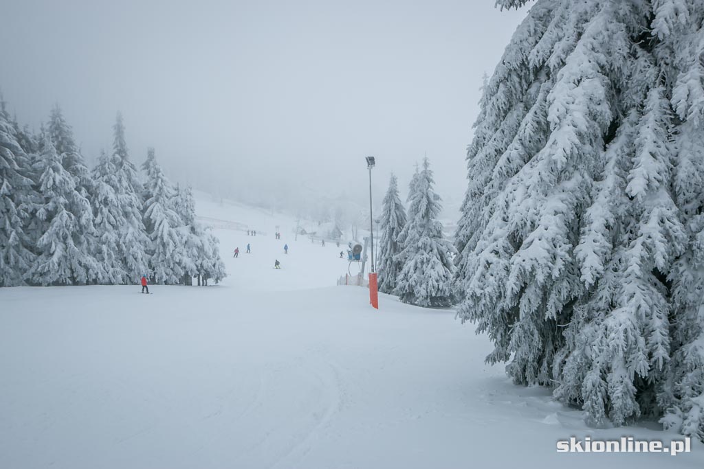 Galeria: Zieleniec warunki narciarskie 8. stycznia 2015